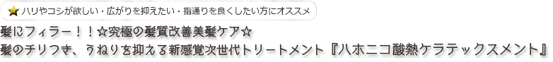 髪にフィラー！！☆究極の髪質改善美髪ケア☆髪のチリつき、うねりを抑える新感覚次世代トリートメント『ハホニコ酸熱ケラテックスメント』