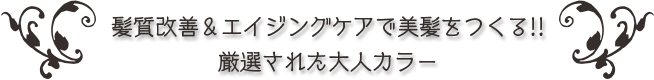 髪質改善＆エイジングケアで美髪をつくる！厳選された大人カラー