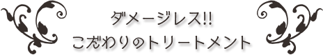 ダメージレス!! こだわりのトリートメント