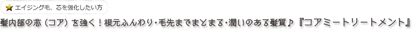 髪内部の芯（コア）を強く！！　根元ふんわり・毛先までまとまる・潤いのある髪質♪『コアミートリートメント』