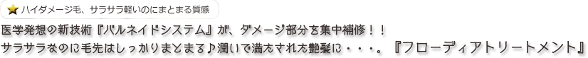 医学発想の新技術『バルネイドシステム』が、ダメージ部分を集中補修！！
サラサラなのに毛先はしっかりまとまる♪潤いで満たされた艶髪に・・・。『フローディアトリートメント』