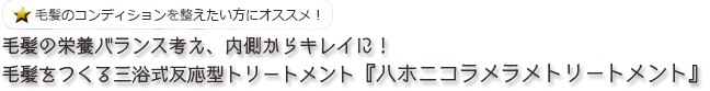 毛髪の栄養バランス考え、内側からキレイに！毛髪をつくる三浴式反応型トリートメント『ハホニコラメラメトリートメント』