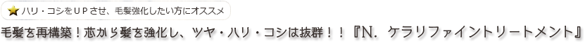 毛髪を再構築！芯から髪を強化し、ツヤ・ハリ・コシは抜群！！『Ｎ．ケラリファイントリートメント』