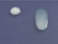 E1442282644402_fd21_5